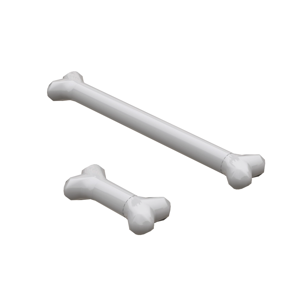 Bones