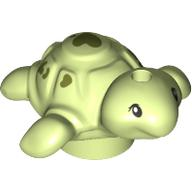 Baby Turtle (Friends Style)