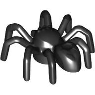 Spider with Elongated Abdomen